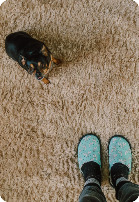 carpet cleaning services