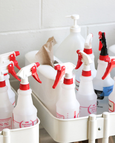 Top 5 Risks Of DIY Pest Control and Cleaning Techniques