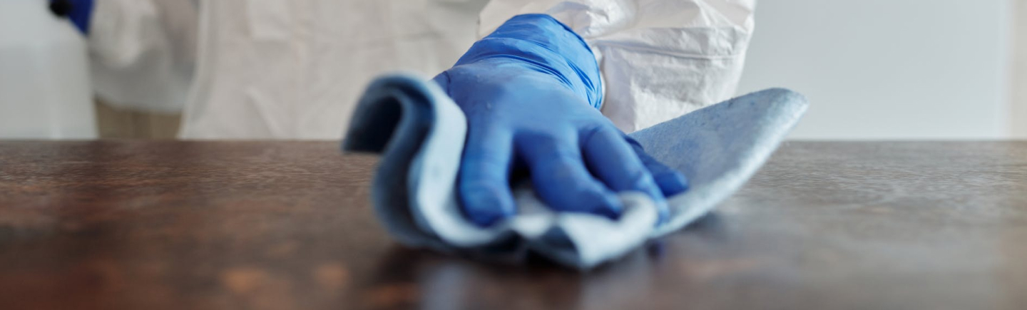 pest control service packages