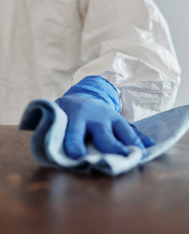 What Are the Benefits of Routine Pest Control Services