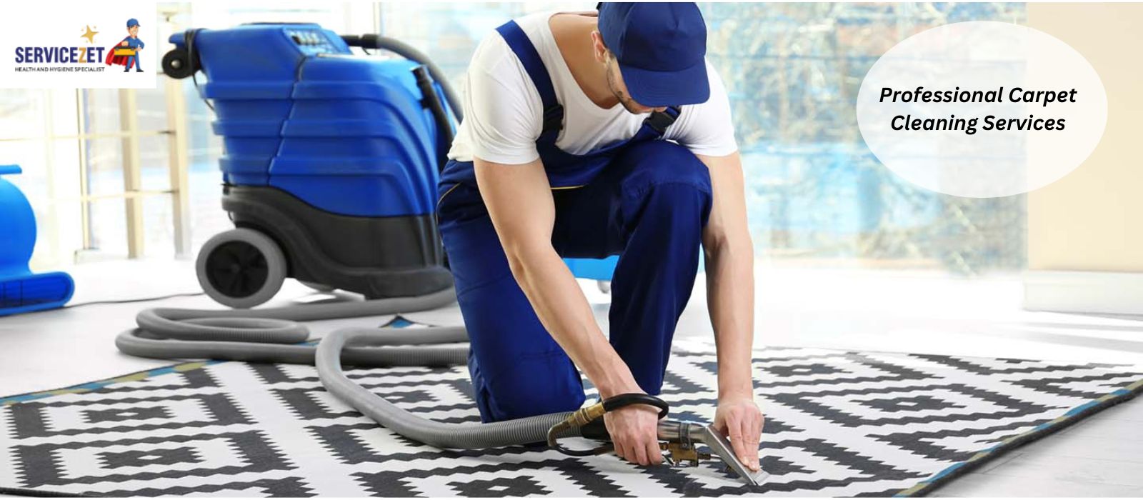 professional carpet cleaning services in kolkata